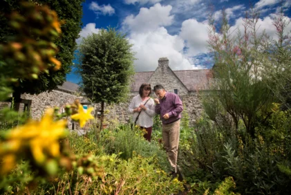 Mature couple smelling herbs together in a sunny cottage garden with stone walls and blue sky