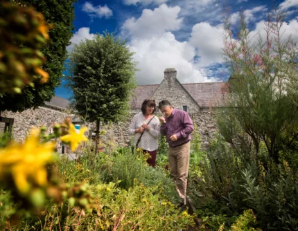 Mature couple smelling herbs together in a sunny cottage garden with stone walls and blue sky