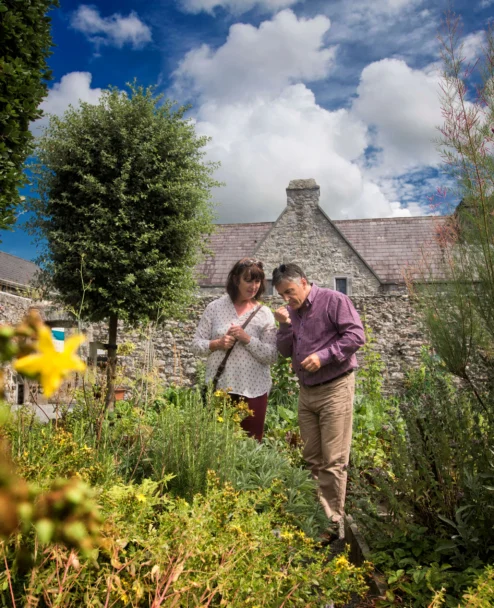Mature couple smelling herbs together in a sunny cottage garden with stone walls and blue sky