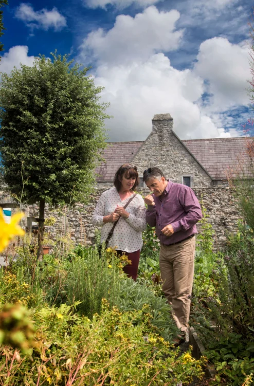 Mature couple smelling herbs together in a sunny cottage garden with stone walls and blue sky